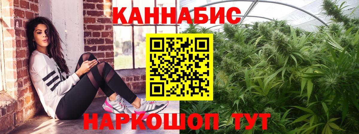 Бошки марихуана Amnesia Ивантеевка
